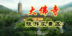 淫穴母狗中国浙江-新昌大佛寺旅游风景区